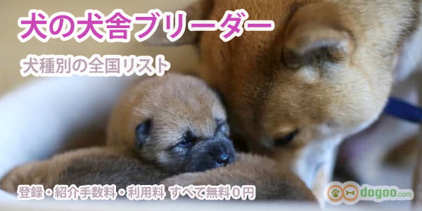 犬の犬舎ブリーダー全国リスト Dogoo Com ブリーダーの比較