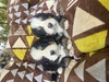 バーニーズ・マウンテン・ドッグ 子犬 探す まん丸コロコロ 2448