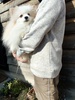 ポメラニアン 子犬 探す チャオリア孫ホワイト... 9410