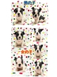 フレンチブルドッグ 子犬 探す 可愛い牛柄パイド7兄... 10235