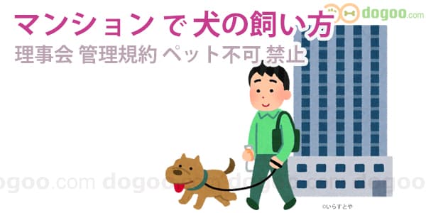 マンション 犬 飼い方 理事会 ペット 可 不可 禁止 分譲　集合住宅