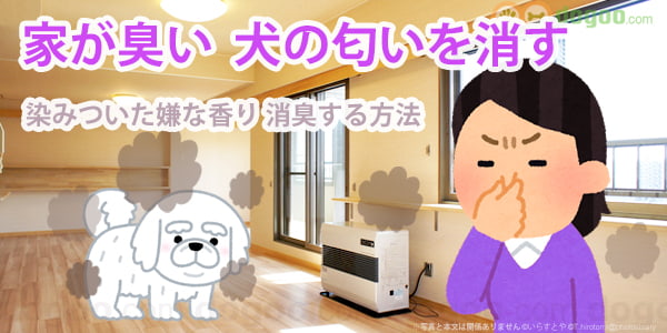 家 臭い 犬 匂い 消す 方法 対策 対処
