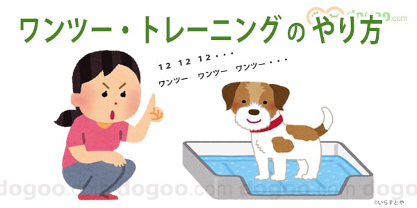 犬にワンツー トレーニング やり方とコツ 動画 犬のq A集 Dogoo Com