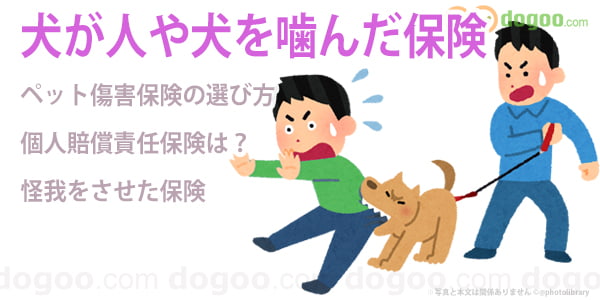 ペット 傷害保険 選び方 噛む	人 犬を噛んだ ケガ 補償