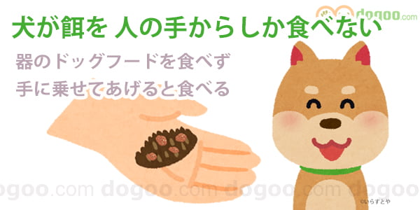 犬が餌を人の手からしか食べない 器で食べる方法 犬のq A集 Dogoo Com