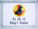 57 中国　香港 犬の看板
